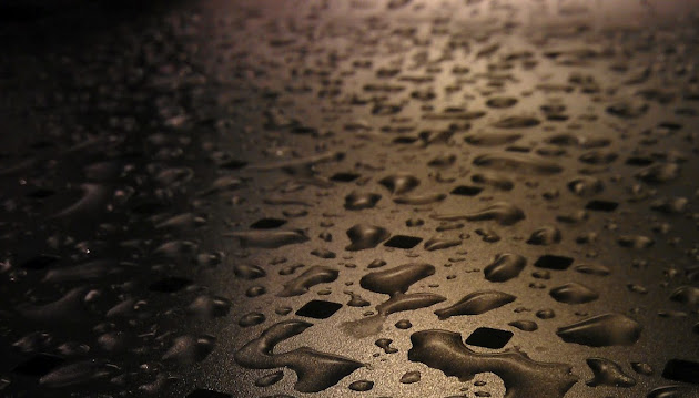 Cover photo
