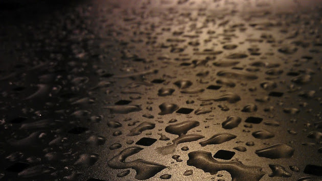 Cover photo