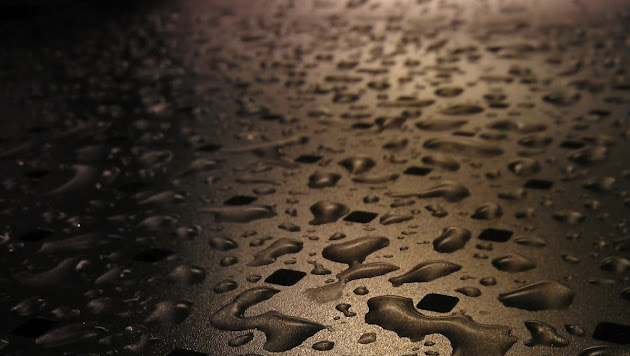 Cover photo