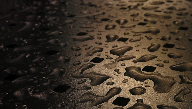 Cover photo