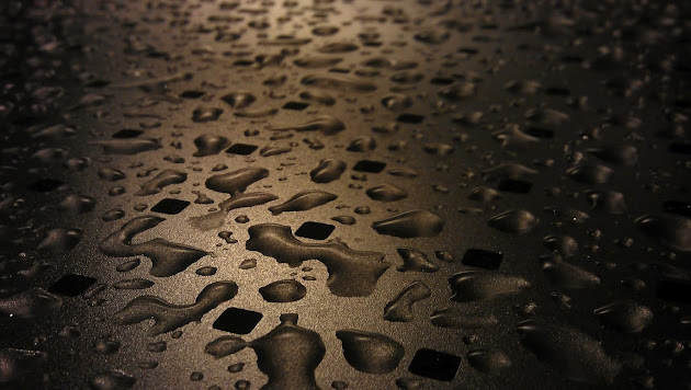 Cover photo