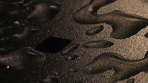 Cover photo