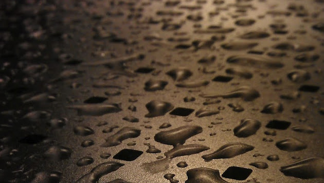 Cover photo