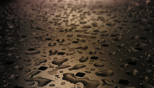 Cover photo