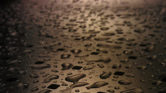 Cover photo