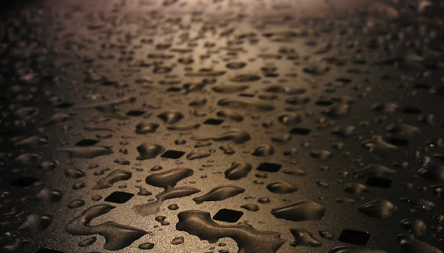 Cover photo
