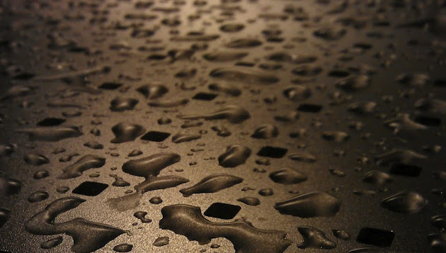 Cover photo