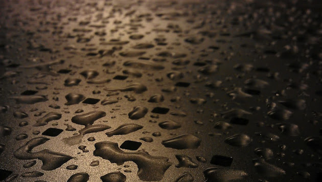 Cover photo