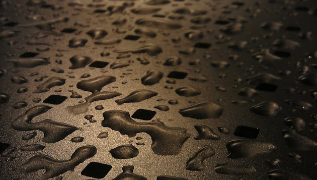 Cover photo