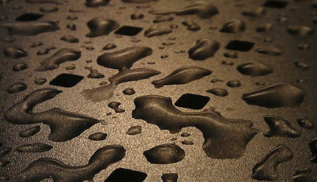 Cover photo