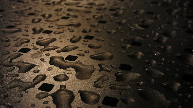 Cover photo