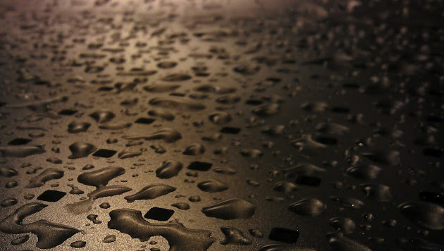 Cover photo