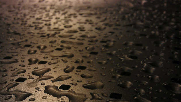 Cover photo