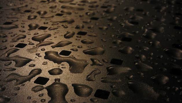 Cover photo