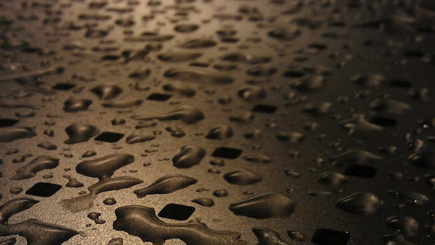 Cover photo
