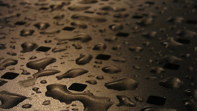 Cover photo
