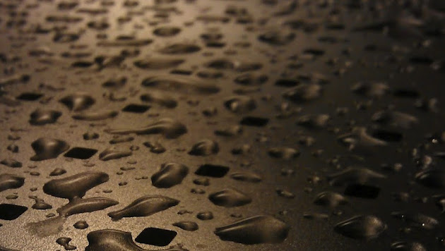 Cover photo