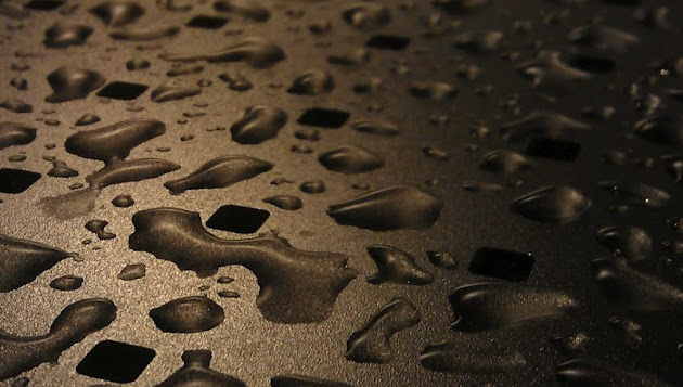 Cover photo