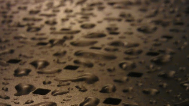 Cover photo