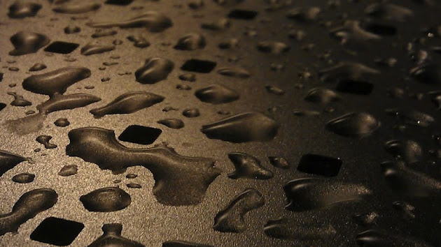 Cover photo