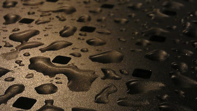 Cover photo