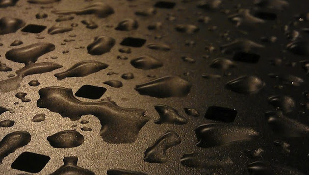 Cover photo