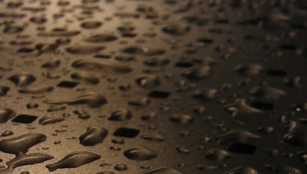 Cover photo