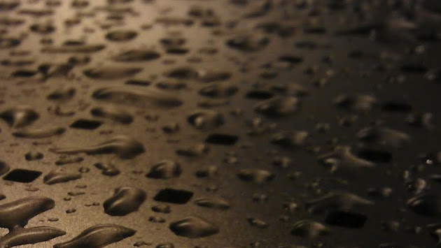 Cover photo