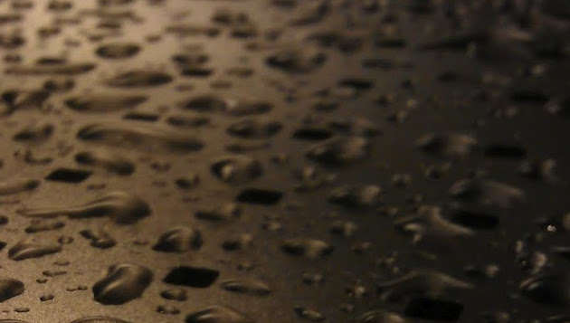 Cover photo