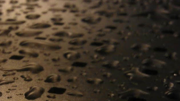 Cover photo