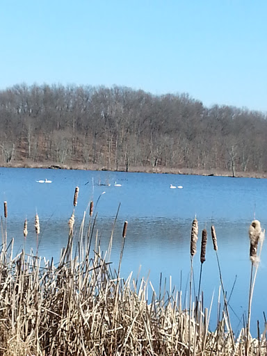 Photos of Killbuck Marsh Wildlife Area