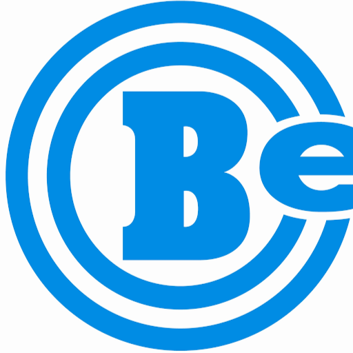 Bertus Service logo