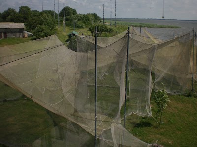 Photos of Ventės rago ornitologinė stotis