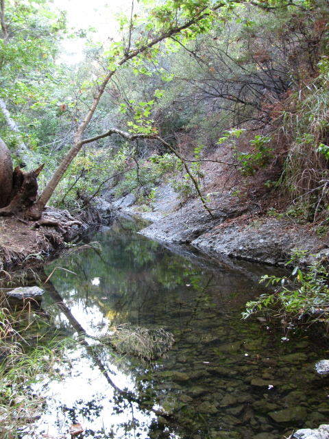 a pool of water forming at the top of the grotto