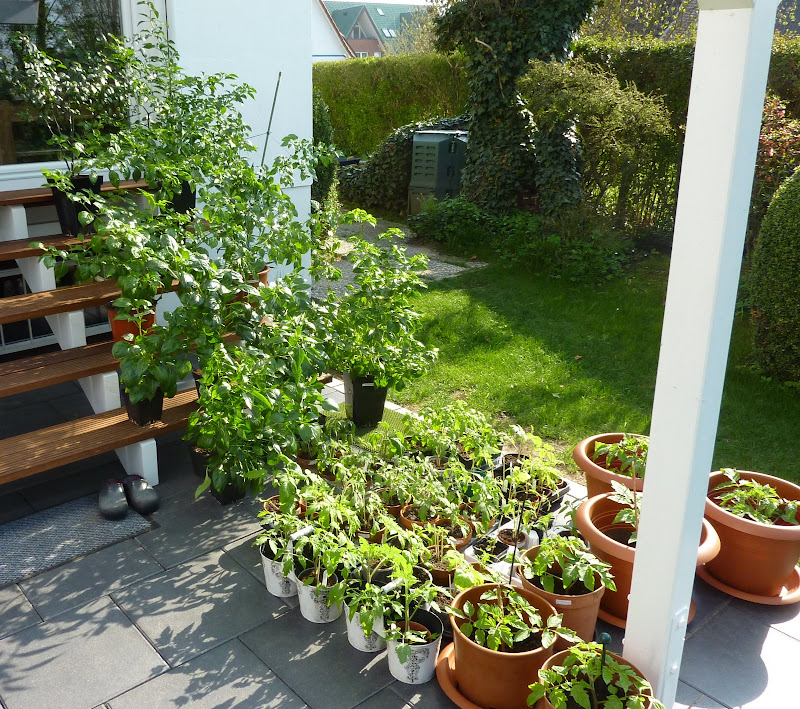 P1250014.JPG