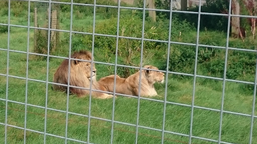 Borth Animalarium