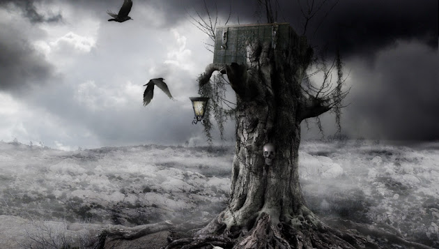 Cover photo