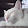encik azuwan encik azuwan's profile photo