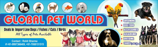Global Pet World, 35, EC Road, Race Course, Dehradun, Uttarakhand 248001, India, Pet_Shop, state UK