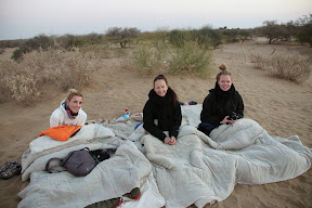 Norte de la India / 1 mes / mujer sola / una palabra: INTENSO - Blogs de India - KHURI. 6 febrero. Desierto! Desert National Park (8)