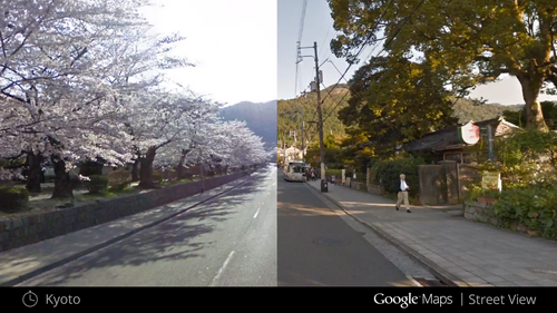 CherryBlossoms_Kyoto_Japan.