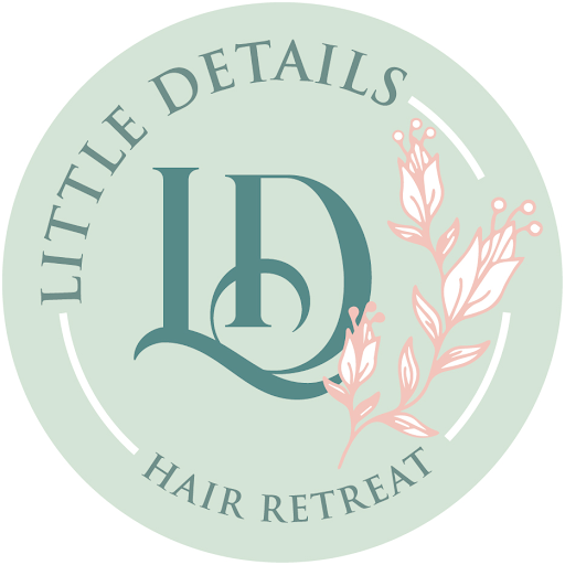 Little Details Hair Retreat logo