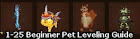 1-25 Beginner Pet Leveling Guide