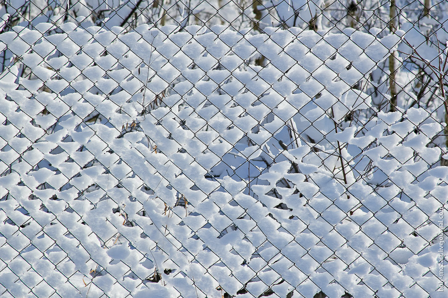 Чернобыль