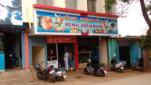 Renu Aquarium, Church Rd, MCC A Block, Davangere, Karnataka 577004, India, Aquarium, state KA