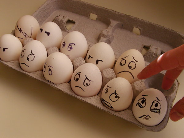 Ovos e Galinhas