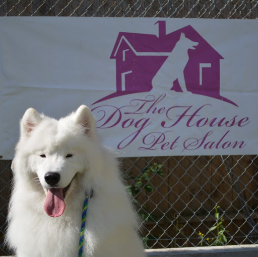 The Dog House Pet Salon logo