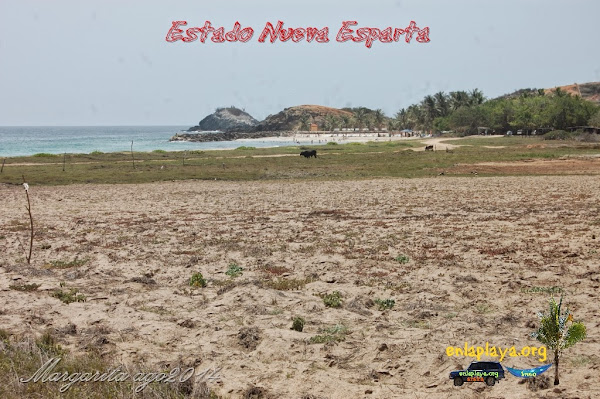 Playa El Humo NE037, estado Nueva Esparta, Antolin del Campo