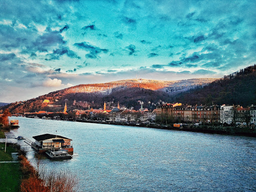 Neckarwiese