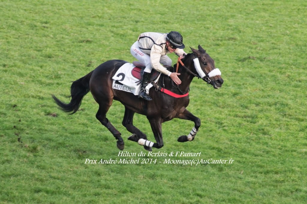 Photos Auteuil 23-11-2014  - Page 2 IMG_6252